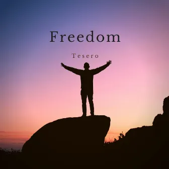 Freedom (Radio Edit) by Tesero