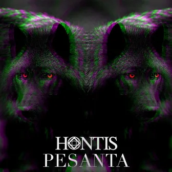 Pesanta by Hontis