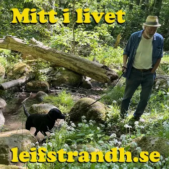 Mitt i livet by Leif Strandh