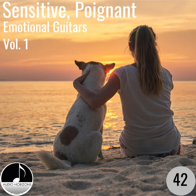 Sensitive, Poignant 42 Emotional Guitars Vol 1