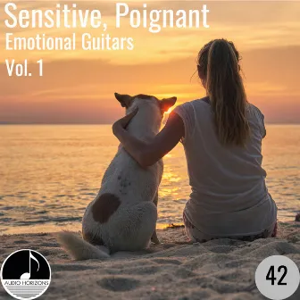 Sensitive, Poignant 42 Emotional Guitars Vol 1 by James Lum