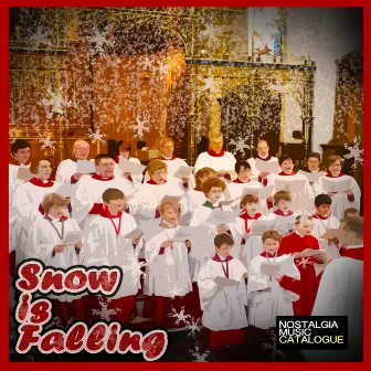 Snow Is Falling by The Hamburg Students' Choir