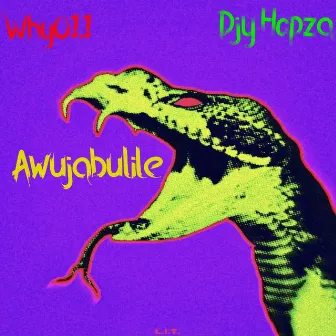 Awujabulile by Djy Hopza