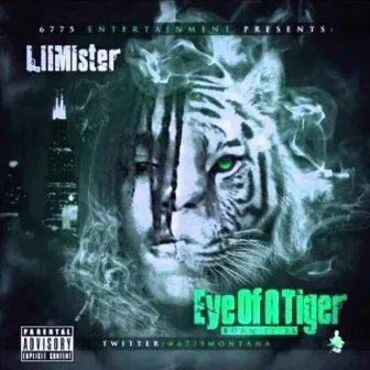 Eye Of A Tiger by Lil Mister