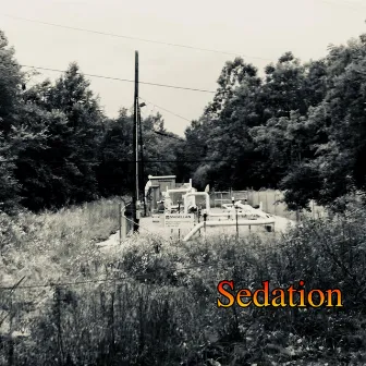 Sedation/Annoyin' by Dax Vision