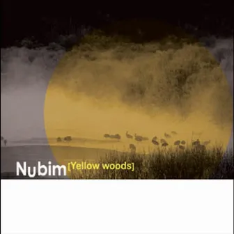 Yellow woods by Nubim