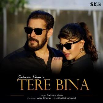 Tere Bina by Salman Khan