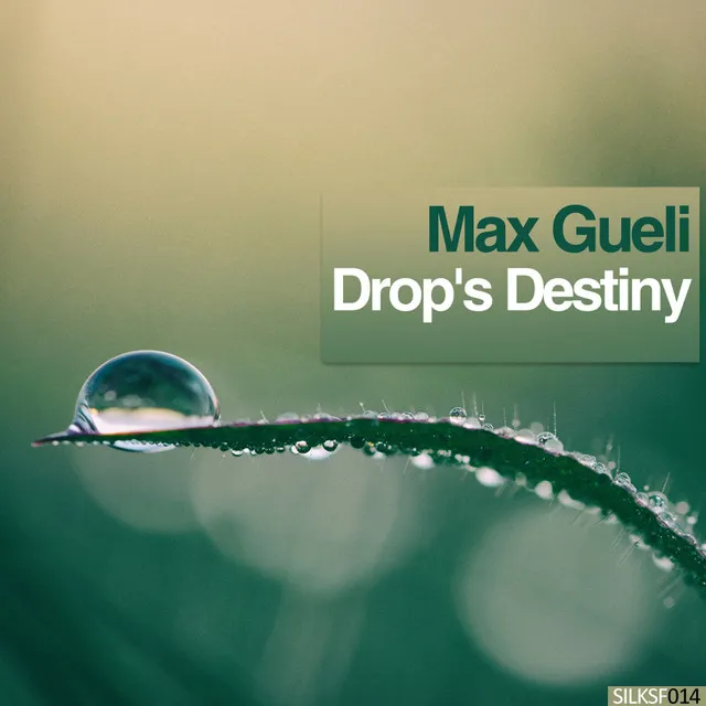 Drop's Destiny