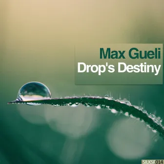 Drop's Destiny by Max Gueli