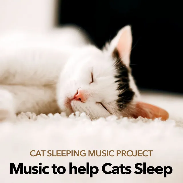 Music to help Cats Sleep