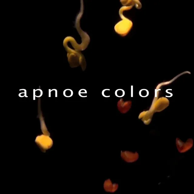 Apnoe Colors (Dubstep Edit)