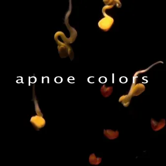 Apnoe Colors (Dubstep Edit) by VAL EBM