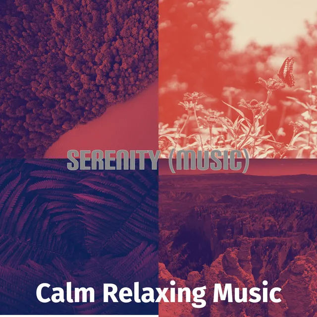 Serenity (Music)