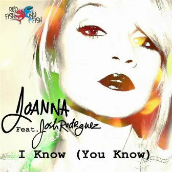 I Know (You Know) [feat. Josh Rodriguez] by Unknown Artist