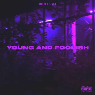 Young and Foolish by Meero