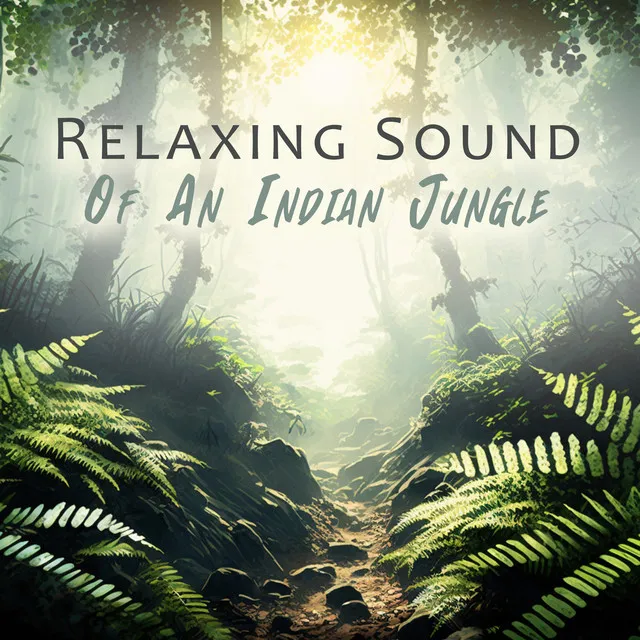 Relaxing Sounds of Nature