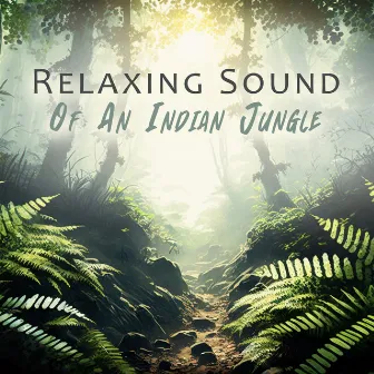 Relaxing Sound Of An Indian Jungle by Asalee Shaant