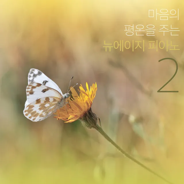 마음의 평온을 주는 뉴에이지 피아노 Vol. 2