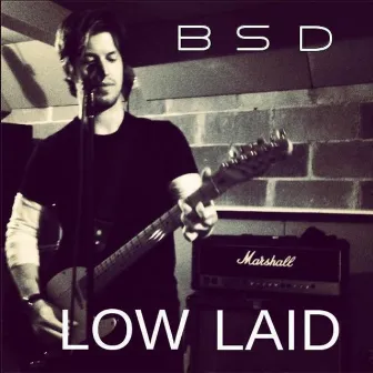 Low Laid by Barton Stanley David