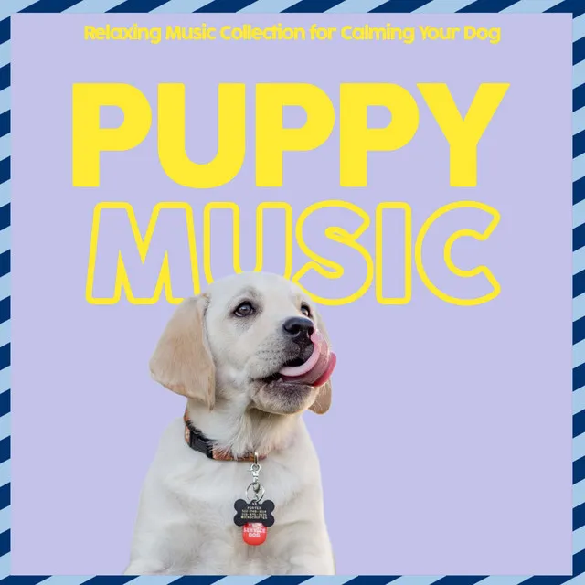 Puppy Music Therapy