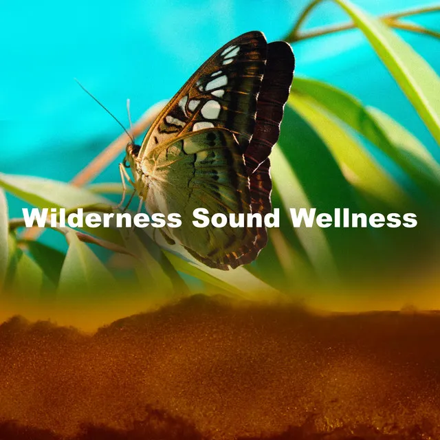 Wilderness Sound Wellness