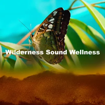 Wilderness Sound Wellness by Wilderness Recorders