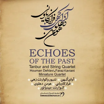 Echoes of The Past by Faraz Kaviani