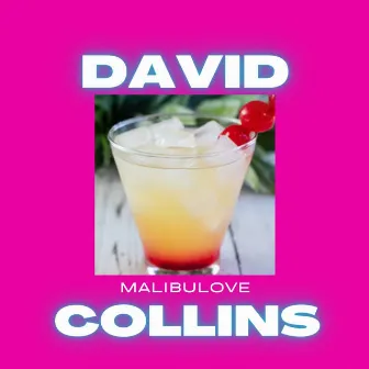 Malibu Love by David Collins