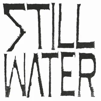 Still Water by Pleading Fern