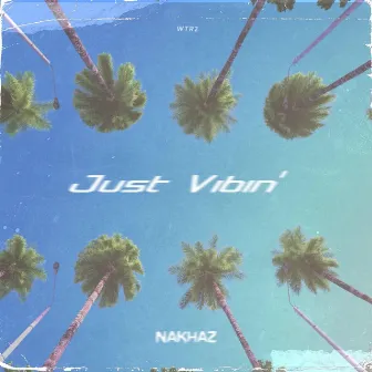 Just Vibin' by Nakhaz