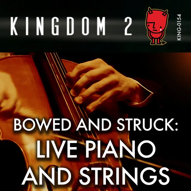 Bowed & Struck: Live Piano and Strings