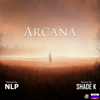 Arcana by Nlp