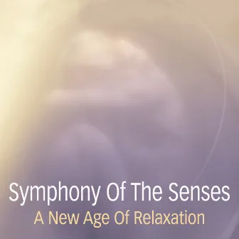 Symphony of the Senses - A New Age of Relaxation by Tibetan Folk Group