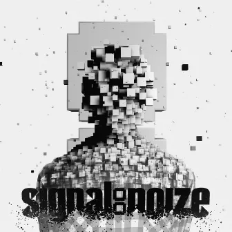 Signal:noize by signal:noize