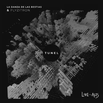 Tunel by La Danza de las Bestias