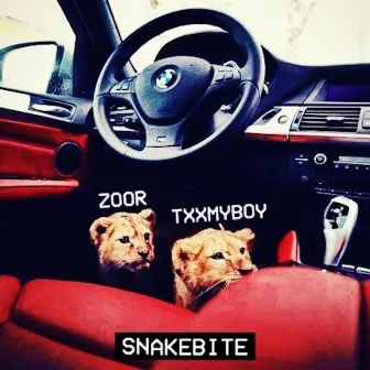 Snakebite (Remix) by Txxmyboy