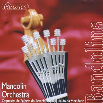 Bandolins by Madeira Mandolin Orchestra