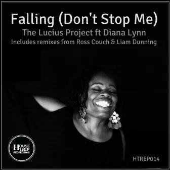 Falling (Don't Stop Me) by The Lucius Project