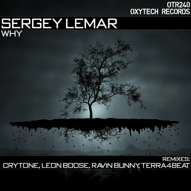 Why - Crytone Remix