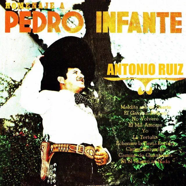 Homenaje a Pedro Infante