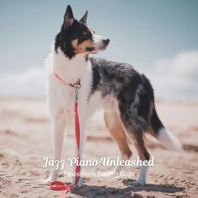 Jazz Piano Unleashed: Pawsitively Jazzing Dogs