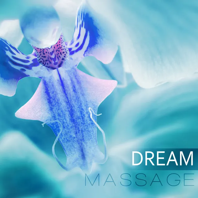 Dream Massage - Massage Therapy, Beautiful Songs, Instrumental Music with Nature Sounds, Music for Healing Through Sound and Touch, Serenity Relaxing Spa, Intimate Moments