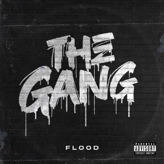 The Gang by Flood