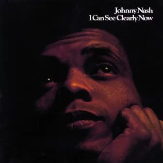 I Can See Clearly Now by Johnny Nash