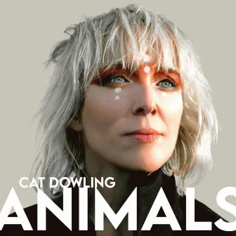 Animals by Cat Dowling