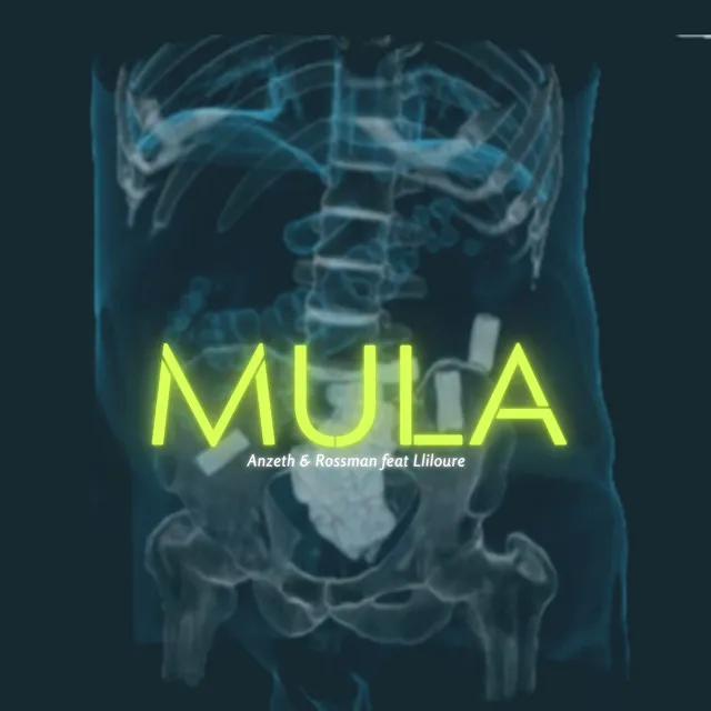 Mula