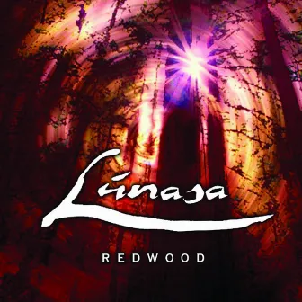 Redwood by Lúnasa