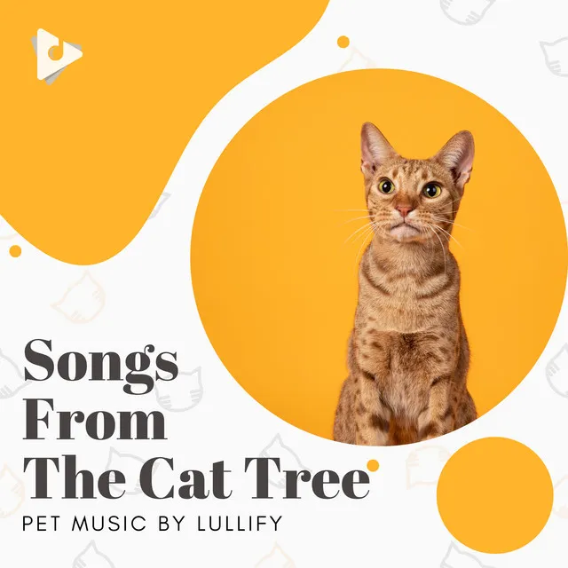 Songs From The Cat Tree