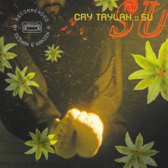 Su by Cay Taylan