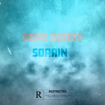 Soarin by Dope Donny